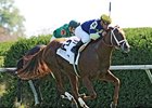 Bridgetown gets up late to win the Woodford. <br><a target="blank" href="http://photos.bloodhorse.com/AtTheRaces-1/at-the-races-2012/22274956_jFd5jM#!i=2132359813&k=nhLsb63">Order This Photo</a>