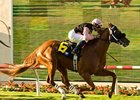 Sky Cape flies home in the La Jolla.<br><a target="blank" href="http://www.bloodhorse.com/horse-racing/photo-store?ref=http%3A%2F%2Fpictopia.com%2Fperl%2Fgal%3Fprovider_id%3D368%26ptp_photo_id%3D5465712%26ref%3Dstory">Order This Photo</a>