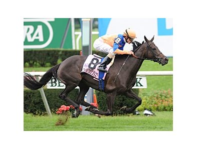 Stacelita in the Flower Bowl.
<br><a target="blank" href="http://www.bloodhorse.com/horse-racing/photo-store?ref=http%3A%2F%2Fpictopia.com%2Fperl%2Fgal%3Fprovider_id%3D368%26ptp_photo_id%3D9687644%26ref%3Dstory">Order This Photo</a>
