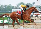 Freedom Child<br><a target="blank" href="http://photos.bloodhorse.com/AtTheRaces-1/at-the-races-2013/27257665_QgCqdh#!i=2506412441&k=vGp2XKs">Order This Photo</a>