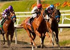 Majestic City pulls away to win the Hollywood Juvenile Championship.<br><a target="blank" href="http://www.bloodhorse.com/horse-racing/photo-store?ref=http%3A%2F%2Fpictopia.com%2Fperl%2Fgal%3Fprovider_id%3D368%26ptp_photo_id%3D9625656%26ref%3Dstory">Order This Photo</a>