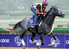 The Lumber Guy
<br><a target="blank" href="http://photos.bloodhorse.com/BreedersCup/2012-Breeders-Cup/Works/26130247_gxH6nS#!i=2189106471&k=Wpv8ZtP">Order This Photo</a>