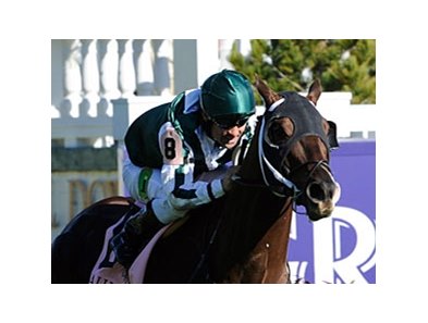 Regally Ready in the 2011 Breeders' Cup.
<br><a target="blank" href="http://www.bloodhorse.com/horse-racing/photo-store?ref=http%3A%2F%2Fpictopia.com%2Fperl%2Fgal%3Fprovider_id%3D368%26ptp_photo_id%3D9757479%26ref%3Dstory">Order This Photo</a>