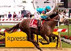 Governmentshutdown won the Rollicking Stakes in 2014.