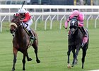 Air Support (left) gets up late to win the Transylvania on opening day at Keeneland.<br><a target="blank" href="http://www.bloodhorse.com/horse-racing/photo-store?ref=http%3A%2F%2Fpictopia.com%2Fperl%2Fgal%3Fprovider_id%3D368%26ptp_photo_id%3D9482455%26ref%3Dstory">Order This Photo</a>