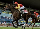Grand Adventure swept past his rivals to win the Connaught Cup over the Woodbine turf.