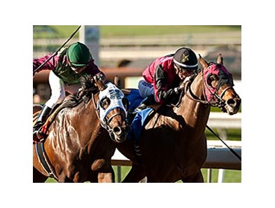 Mischief Clem (right) gets the victory in the California Cup Derby over Pulmarack.