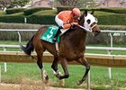 Ryan's for Real rolls to victory in the Bill Hartack Memorial.