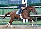 Louisville 'Cap Draws Nine, 'Harbor' on Fence Louisville 'Cap Draws Nine, 'Harbor' on Fence
