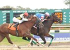 Musket Man fights off Guam Typhoon to win the Super Stakes at Tampa Bay Downs.