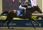 Blue Heart wins the Bison City Stakes.