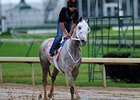 Joyful Victory at Churchill Downs.
<br><a target="blank" href="http://www.bloodhorse.com/horse-racing/photo-store?ref=http%3A%2F%2Fpictopia.com%2Fperl%2Fgal%3Fprovider_id%3D368%26ptp_photo_id%3D9512453%26ref%3Dstory">Order This Photo</a>