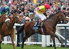 Queen Anne Stakes' winner Haradasun<br><a target="blank" href="http://www.bloodhorse.com/horse-racing/photo-store?ref=http%3A%2F%2Fpictopia.com%2Fperl%2Fgal%3Fprovider_id%3D368%26ptp_photo_id%3D4915768%26ref%3Dstory">Order This Photo</a>