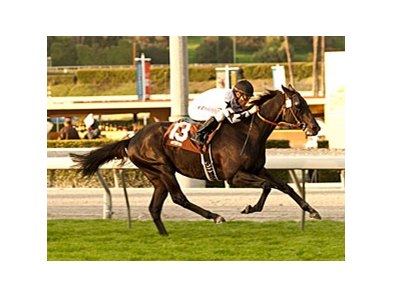 Four of Five of Slim Shadey's wins have come at 10 furlongs.