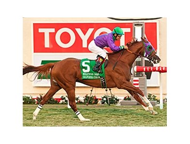 California Chrome