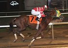 Rapid Redux Claims North American Record Rapid Redux Claims North American Record
