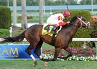 Charming Kitten won the Kitten's Joy Stakes at Gulfstream Jan. 20.