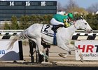 Inherit the Gold keeps on rolling in the Excelsior Stakes.<br><a target="blank" href="http://www.bloodhorse.com/horse-racing/photo-store?ref=http%3A%2F%2Fpictopia.com%2Fperl%2Fgal%3Fprovider_id%3D368%26ptp_photo_id%3D9473386%26ref%3Dstory">Order This Photo</a>