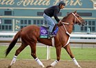 Smiling Tiger finished 3rd in the 2012 Breeders' Cup Sprint. <br><a target="blank" href="http://photos.bloodhorse.com/BreedersCup/2012-Breeders-Cup/Works/26130247_gxH6nS#!i=2189131803&k=2B5Kb37">Order This Photo</a>
