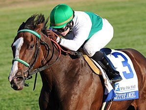 Fugitive Angel Makes the Grade in Valley View Fugitive Angel Makes the Grade in Valley View