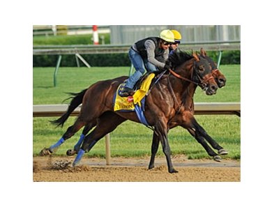 Liaison breezing at Churchill Downs 4/30/2012.
<br><a target="blank" href="http://photos.bloodhorse.com/TripleCrown/2012-Triple-Crown/Works/22611108_LR3wcn#!i=1821110705&k=znvvt9Z">Order This Photo</a>