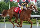 Dancing Allstar will break from the rail in the Hendrie.