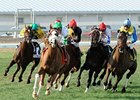 Mr. Vegas leads the way in the Colonel E. R. Bradley Handicap.<br><a target="blank" href="http://www.bloodhorse.com/horse-racing/photo-store?ref=http%3A%2F%2Fpictopia.com%2Fperl%2Fgal%3Fprovider_id%3D368%26ptp_photo_id%3D9802289%26ref%3Dstory">Order This Photo</a>