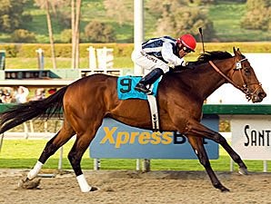 Deep 14-Horse Field Set in Big 'Cap Deep 14-Horse Field Set in Big 'Cap