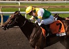 Nipissing makes her turf debut in the Wonder Where Stakes.