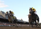 Rachel Alexandra was able to conquer Macho Again and the rest of the field in the Woodward Stakes.<br><a target="blank" href="http://www.bloodhorse.com/horse-racing/photo-store?ref=http%3A%2F%2Fpictopia.com%2Fperl%2Fgal%3Fprovider_id%3D368%26ptp_photo_id%3D8459934%26ref%3Dstory">Order This Photo.</a>