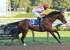 Spurious Precision wins the Saratoga Special.
<br><a target="blank" href="http://photos.bloodhorse.com/AtTheRaces-1/at-the-races-2012/22274956_jFd5jM#!i=2021687259&k=5RjvJPR">Order This Photo</a>