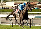 From Turf to Dirt, Bolo Targets SA Derby From Turf to Dirt, Bolo Targets SA Derby