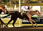 Renee's Titan takes on 10 in the Beaumont Stakes.