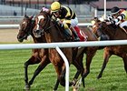 Aigue Marine Wins Long Island in Third Try Aigue Marine Wins Long Island in Third Try