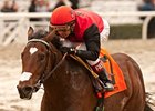 Lots of Possibilities in Battaglia Memorial Lots of Possibilities in Battaglia Memorial