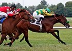 Ioya Bigtime is a determined winner in the Kentucky Turf Cup.