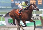 Met Mile winner Quality Road<br><a target="blank" href="http://www.bloodhorse.com/horse-racing/photo-store?ref=http%3A%2F%2Fpictopia.com%2Fperl%2Fgal%3Fprovider_id%3D368%26ptp_photo_id%3D9047698%26ref%3Dstory">Order This Photo</a>