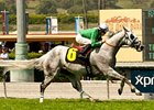 California Flag flies to victory in the San Simeon.