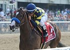 Contested won the Acorn Stakes at Belmont Park in May.<br><a target="blank" href="http://photos.bloodhorse.com/AtTheRaces-1/at-the-races-2012/22274956_jFd5jM#!i=1873092812&k=PcdHGZZ">Order This Photo</a>