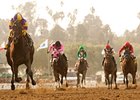 Premier Pegasus Takes Flight in San Felipe Premier Pegasus Takes Flight in San Felipe