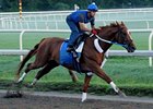 Curlin, shown working last week at Saratoga, posted a six furlong move over the Oklahoma Training Track on Monday, Aug. 11.