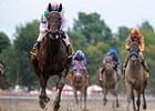 Close Hatches<br><a target="blank" href="http://photos.bloodhorse.com/AtTheRaces-1/At-the-Races-2014/i-bQjrZzp">Order This Photo</a>