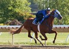 Summer Bird Drills Six Furlongs at Monmouth Summer Bird Drills Six Furlongs at Monmouth