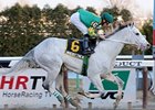 Inherit the Gold won the Kings Point at Aqueduct March 12.<br><a target="blank" href="http://www.bloodhorse.com/horse-racing/photo-store?ref=http%3A%2F%2Fpictopia.com%2Fperl%2Fgal%3Fprovider_id%3D368%26ptp_photo_id%3D9471065%26ref%3Dstory">Order This Photo</a>
