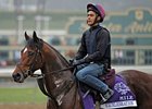 Excelebration
<br><a target="blank" href="http://photos.bloodhorse.com/BreedersCup/2012-Breeders-Cup/Works/26130247_gxH6nS#!i=2189078701&k=Jqqw6rq">Order This Photo</a>