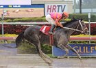 Pants On Fire Hot in Gulfstream Slop Pants On Fire Hot in Gulfstream Slop