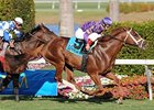 Twilight Meteor won the Canadian Turf in 2009.