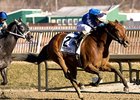 Harissa pulls away to take the Barbara Fritchie under Ramon Dominguez.