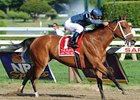 Ask the Moon won the Ruffian by 5 3/4 lengths.<br><a target="blank" href="http://www.bloodhorse.com/horse-racing/photo-store?ref=http%3A%2F%2Fpictopia.com%2Fperl%2Fgal%3Fprovider_id%3D368%26ptp_photo_id%3D9622426%26ref%3Dstory">Order This Photo</a>