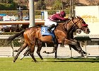 Tiz Flirtatious gets the jump on the competition to win the Rodeo Drive Stakes.